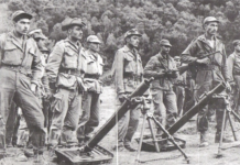 On the anniversary of the Algerian revolution: Palestine and Algeria, between two revolutions by Khaled Barakat